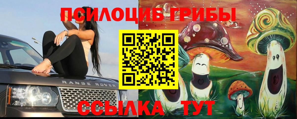 Галлюциногенные грибы Psilocybine cubensis  Галлюциногенные грибы Psilocybe  Нижнекамск  Вход с VPN 